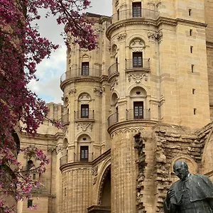 Apartamento Premium - Cathedral Of, Málaga